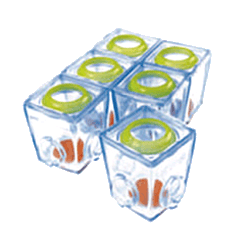 Brother Max 6 small food portioners